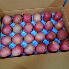 우연팜 가정용 아침에 한입 사과 경북 부사 꿀사과 꼬마과 소과, 1박스, (부사사과 꼬마과) 5kg