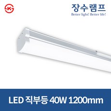 우리조명 장수램프 KS인증 LED 주차장등 직부등 40W 1200mm, 주광색, 1개