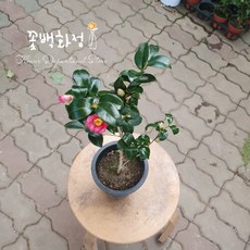 d63a0c6132e5a2c7aaebc0e77761d59dda64f2d97e4e1e0d5fece1c47c10.jpg