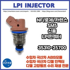lpi인젝터