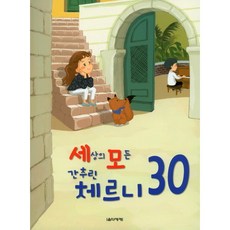 세모100체르니