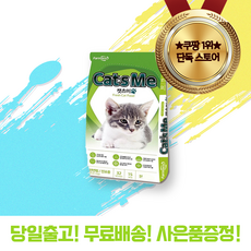 캣츠미샹들리에