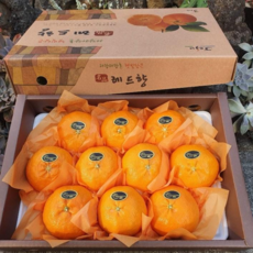 제주 산지직송 크고 달고 맛있는 레드향 프리미엄 고급 설선물세트, 가정용, 3kg