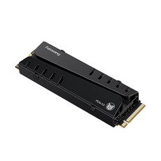Fanxiang S770 2TB PCIe 4.0 NVMe SSD M.2 2280 내부 솔리드 스테이트 드라이브 DRAM 캐시 구성 방열판 포함 최대 7300MB/s PS5와