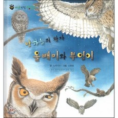 꼬마 자연관찰 빙고! 32 밤하늘의 왕자 올빼미와 부엉이, 한국슈바이처(단행본), 꼬마 자연관찰 빙고