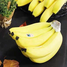 청춘팔도 유기농 바나나 친환경 페루산, 1개, 3kg 내외