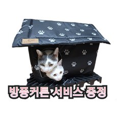 대구옥탑방고양이