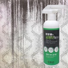 틈새곰팡이가글 담배찌든때 화장실천장곰팡이 장판 실리콘 곰팡이제거