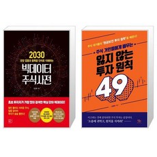 2030빅데이터주식사전