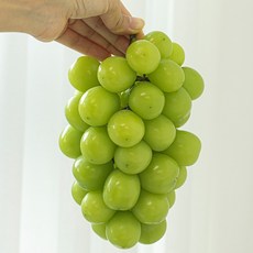 고당도 샤인머스켓 제철과일 샤인머스켓 청포도 1kg 1.5kg, 2수~3수(1kg), 1개
