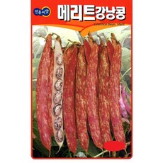 콩씨앗종자) 울타리 강낭콩(600g) S2575, 1개