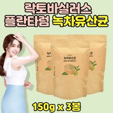 녹차유산균 프로바이오틱균주 이너 건강 녹차분말 3통 식물성 멀피 프리 프로바이오스틱 온가족 패밀리 녹차추출물 유산균 가루 대용량