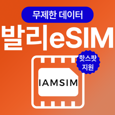 발리 인도네시아 무제한 데이터 esim 이심, 매일1G후 속도제한 무제한, 10일, 1개