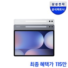 삼성전자 갤럭시탭 S10 플러스 256GB/512GB, Wi-Fi+Cellular, 256GB, 플래티넘 실버