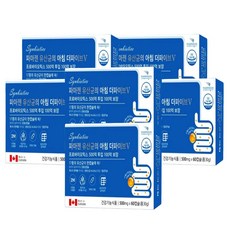 비바채 더파이브 V 락토바실러스 피부 프리바이오틱스 임산부 변비 유산균, 360개, 12개월