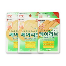 케어리브밴드