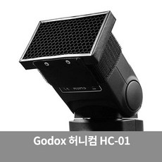 원판사진
