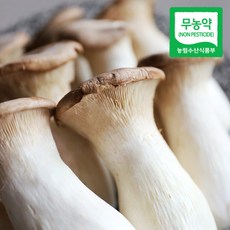 총알버섯