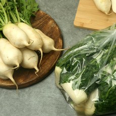 국내산 절임 알타리무 아삭한 총각무 절임 5kg 10kg, 5.5kg (3단), 1개