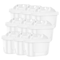 브리타스타일필터