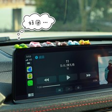 대전가족사진