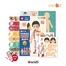 휴먼바디맵