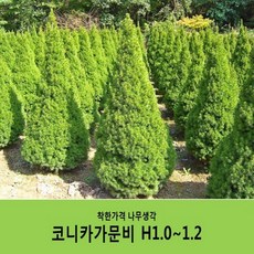 37a910186dfd151d1bb180ac84bd80a8d96ece6b6b20a36c9e92a2152270.JPG