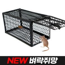월드그린 뉴 벼락쥐망, 1개, 1개입