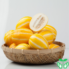 성주 꿀 참외 5kg 소과(30과 내외) 고당도 가정용 꼬마참외