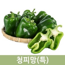 국산 청피망(특) 10kg 5kg 싱싱한 피망 두리반농산, 1개