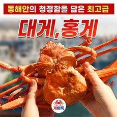 랍스타제철