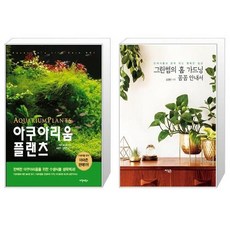아쿠아리움플랜츠