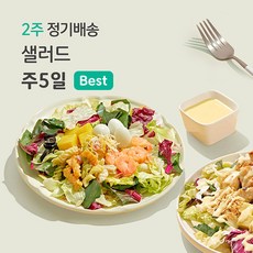 [포켓샐러드] 샐러드 2주 정기배송 주5일 (매주 5팩씩 2회 배송 / 총10팩), 05. 채소만 샐러드 5종 5팩