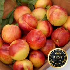 달콤부드러운 망고복숭아 옐로우드림