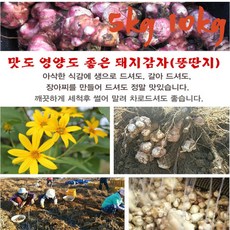 여주농산땅콩
