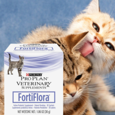 퓨리나 반려묘 고양이 유산균 프로바이오틱스 파우더 가루 분말 30포, 1개 