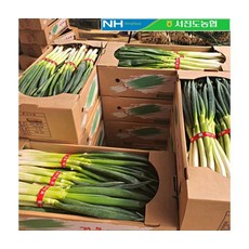 서진도농협 향긋한 아삭한 진도명품 대파 3kg, ONE COLOR, ONE SIZE