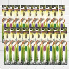 닥터헬퍼 비담 숯 칫솔 첨단 치과 미세모 칫솔 1개입 X 20개, 1개