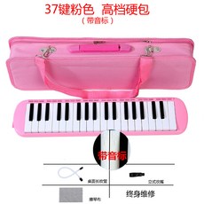 연습용 멜로디언 교육용 건반악기 미니 피아노, J타입