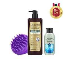 닥터그루트두피브러쉬