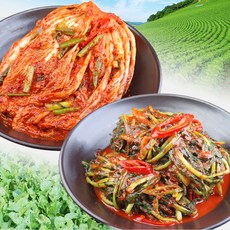 [밥도둑들] 국산포기김치2k+열무김치2k / 맛없으면 무료반품, 2개, 2kg
