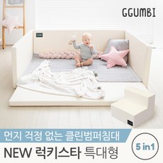 꿈비럭키스타