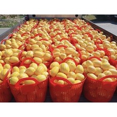 산지직송 당도선별 참외 성주참외 5kg 실중량, 성주참외 가정용 혼합과 5KG, 1박스
