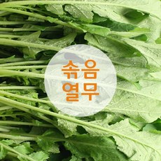 신선농장 솎음열무 4kg 어린열물 김장열무, 1개