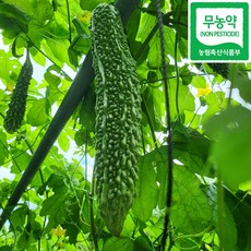 생여주