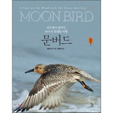 바스커빌가문의개
