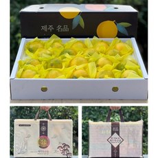 황금향 제주 가정용 선물세트 산지직송 고당도 1kg 3kg 5kg, 1세트, 선물용_1kg 중과[2호]