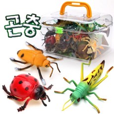 먹이피라미드