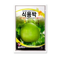 생박