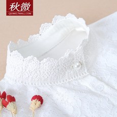 차이나페이크카라